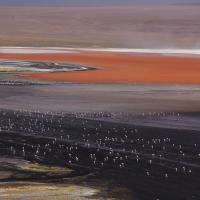Laguna Colorada, Sud Lipez, Bolivie