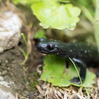 Une petite pluie suffit!